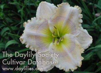 CathedralofLight_1507731715