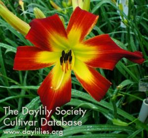 Discover Heavenly Gardens