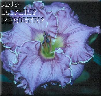 Ledgewoods_oriental_silk_2005