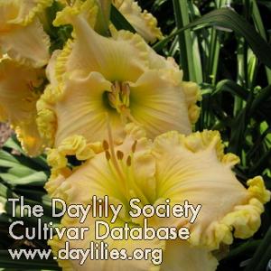 Thelma Douglas