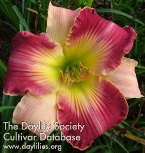 Granview Pat