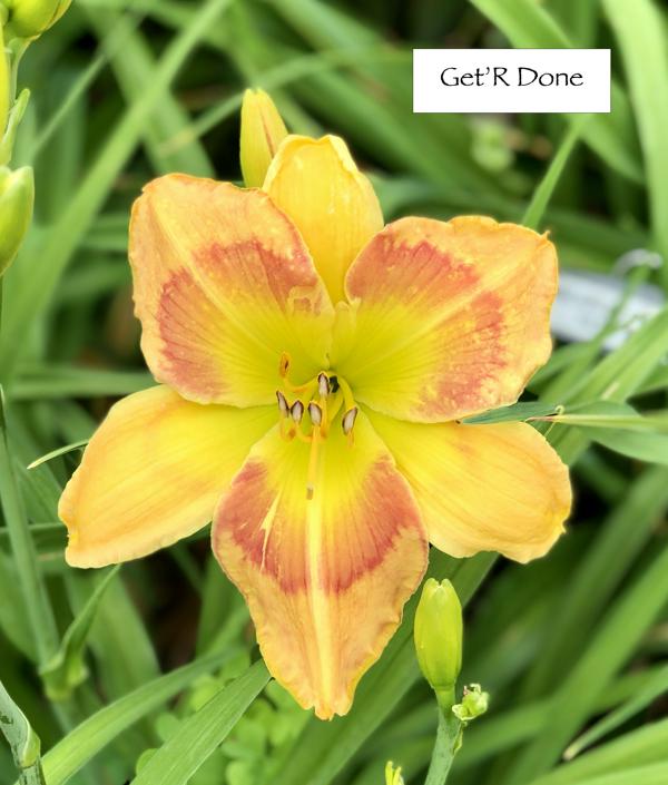 Get'R Done