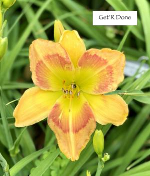 Get'R Done