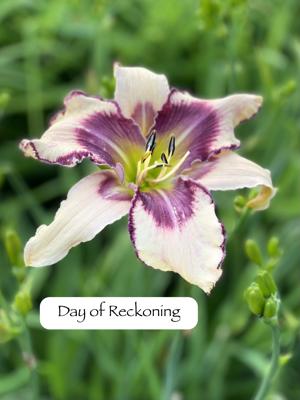 Day of Reckoning