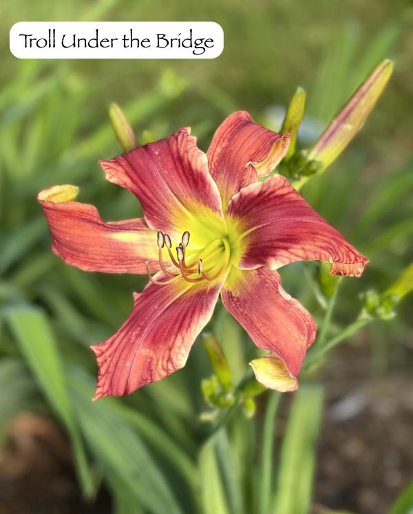 IMG_8171