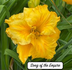 Song of the Empire