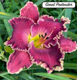 Great Pretender