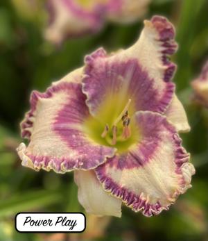 Power Play
