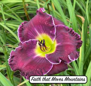 Faith that Moves Mountains