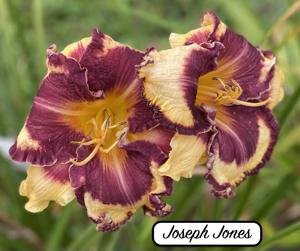 Joseph Jones