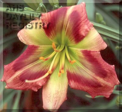 Green_Rainbow_2005
