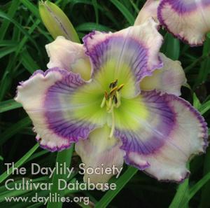Spiritual Gift