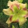 Unknown-1